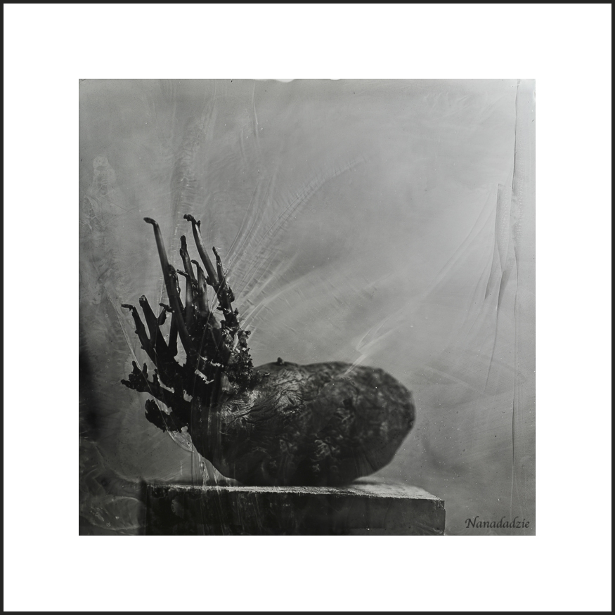 Wetplate - Other 