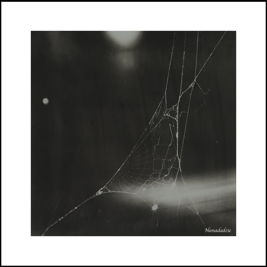 Platinum-Palladium Prints 