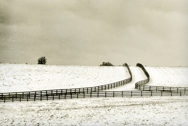 Lith Silver Gelatin Prints 