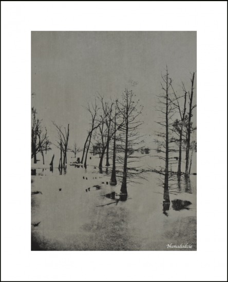 Copper Plate Photogravure